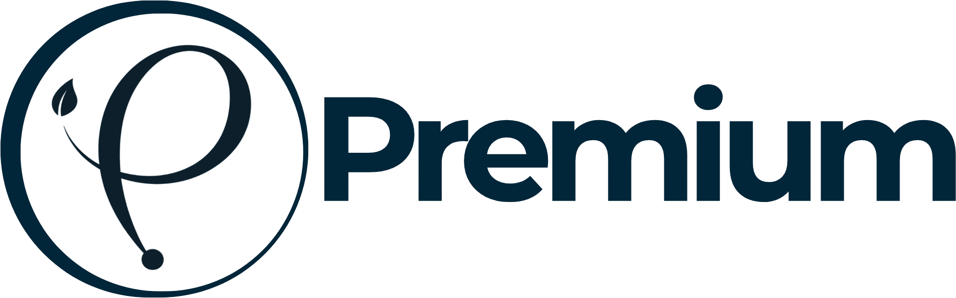 Puntaje Nacional Premium